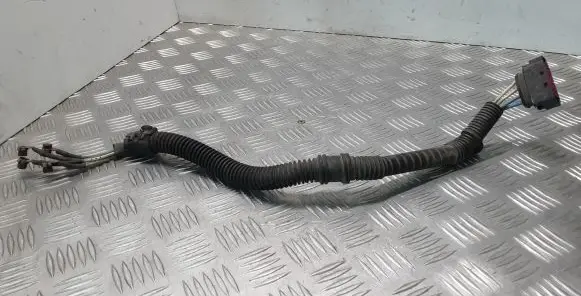 Renault Latitude (L70) Other wiring loom