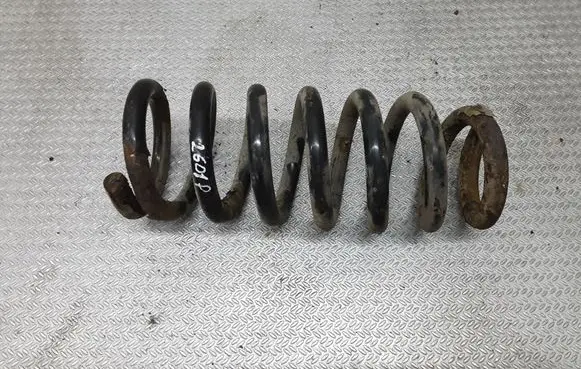 Mitsubishi Pajero Front coil spring