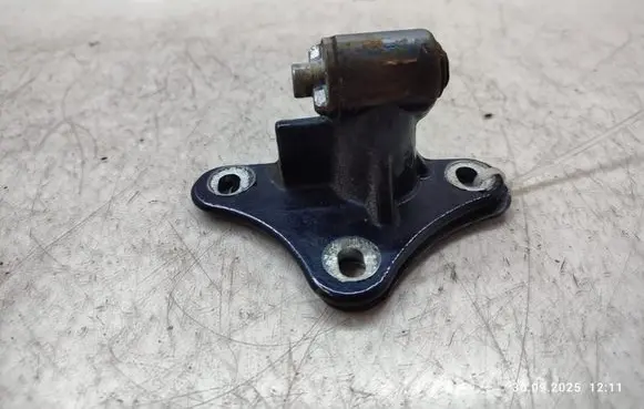 Mercedes-Benz R W251 Front door lower hinge 