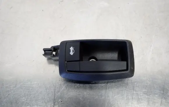 Peugeot Boxer Engine bonnet (hood) release handle