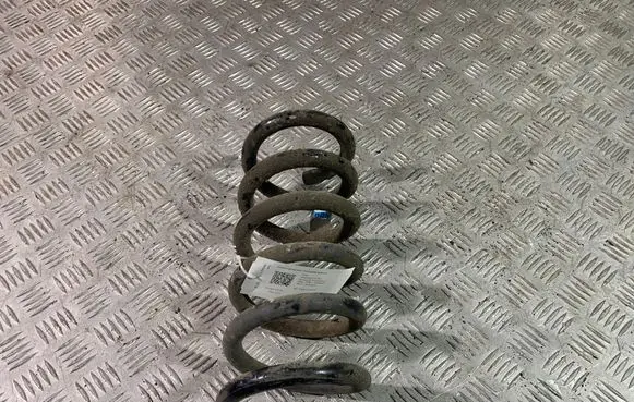 Ford Mustang VI Rear coil spring FR3C5560BC
