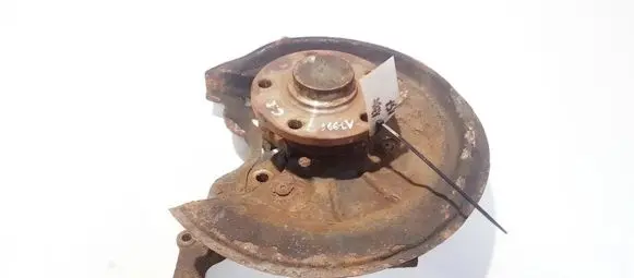 Skoda Octavia Mk2 (1Z) Rear wheel hub didzioji