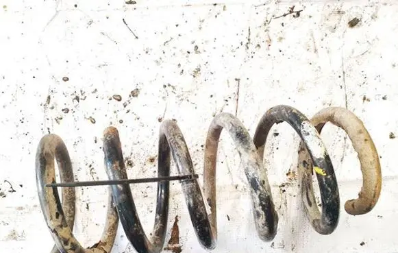 Renault Trafic II (X83) Front coil spring