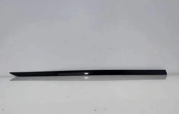 Volkswagen Tiguan Front door trim bar 5NA853332A