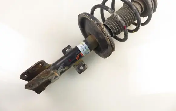 Peugeot 307 Front shock absorber with coil spring 22113115