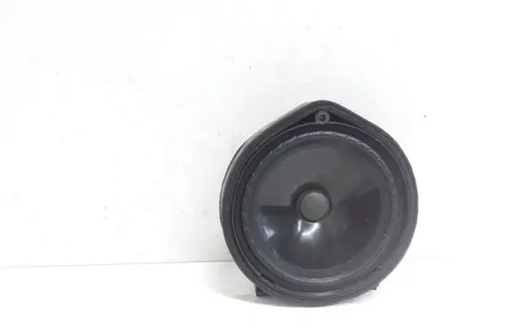 Rear door speaker