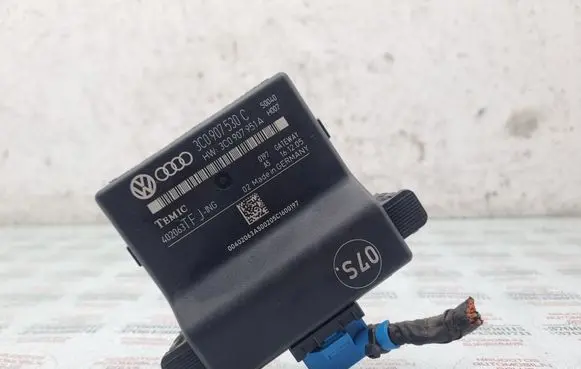 Volkswagen PASSAT B6 Gateway control module 3C0907530C