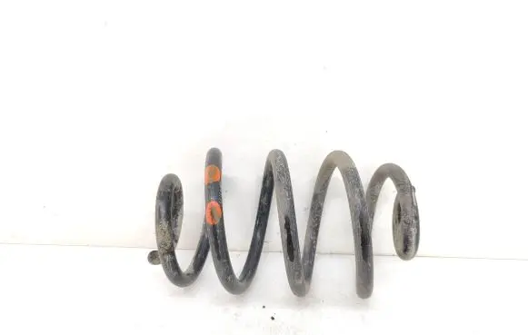 Nissan Leaf I (ZE0) Rear coil spring
