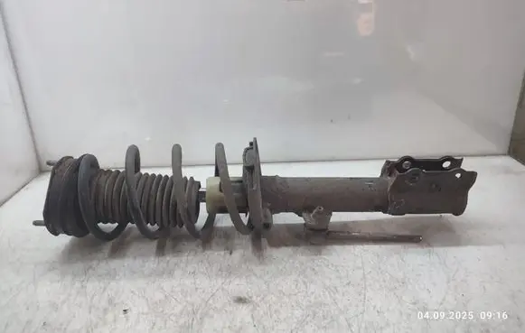 Ford Ecosport Front shock absorber with coil spring