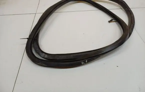 Volkswagen PASSAT B6 Rubber seal front coupe door 