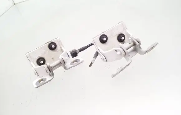 BMW 1 F20 F21 Loading door hinge set 7239875 7239876