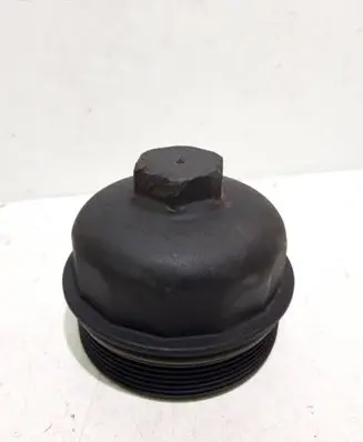 Porsche Cayenne (9PA) Oil filter cover 70312113