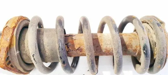 Rear coil spring