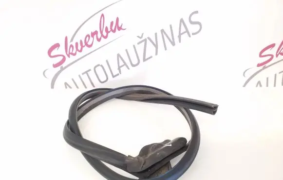 Renault Trafic III (X82) Front door rubber seal M883G