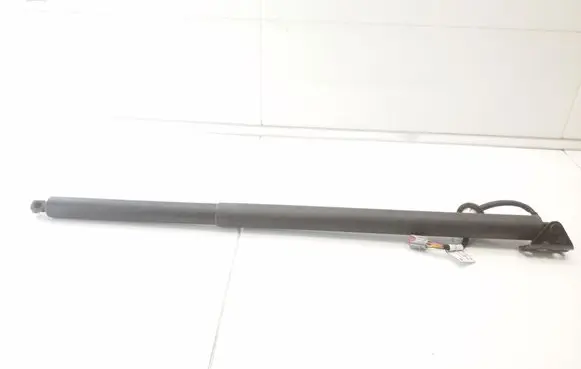 Ford Mustang Mach-E Tailgate/trunk strut/damper LJ8BR402A55AE