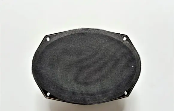 Chrysler Town & Country V Front door speaker 5091019AB