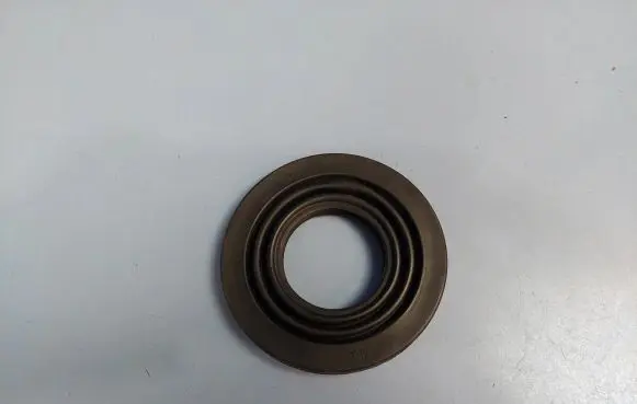 Headlight/headlamp dust cover