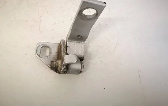 Ford Focus Rear door lower hinge