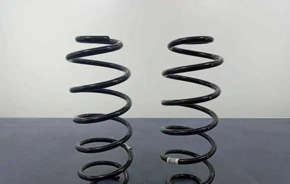 Ford Puma Rear coil spring L1TC-5560-AEA