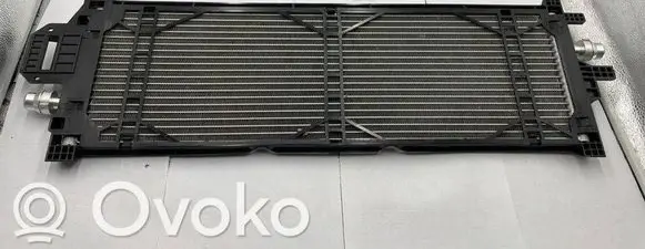 Tesla Model 3 Coolant radiator 107708200C