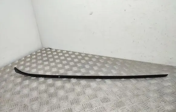Windshield trim
