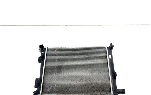 Hyundai Veloster Coolant radiator 253101RXXX