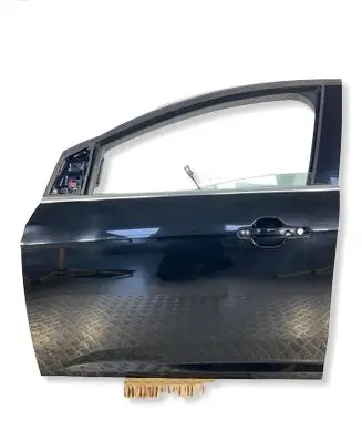 Ford Focus Front door 