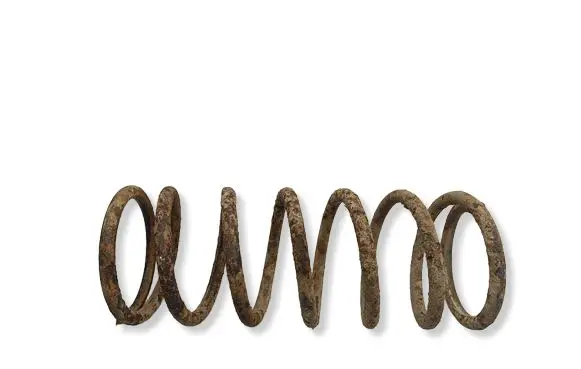Land Rover Discovery Front coil spring 