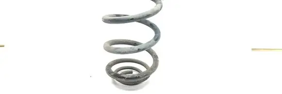Renault Trafic III (X82) Rear coil spring