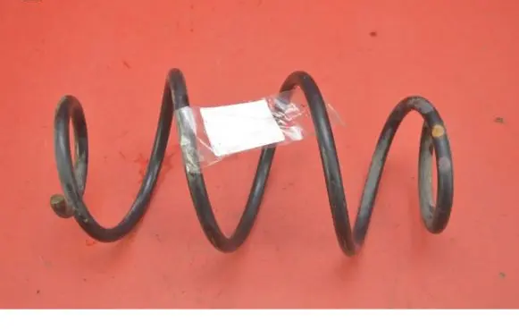 Rear coil spring
