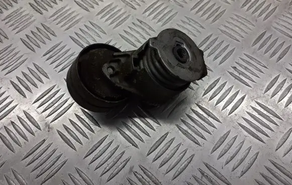 Renault Scenic II - Grand scenic II Alternator belt tensioner pulley 9053284628