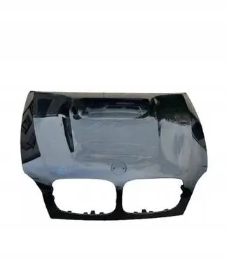 BMW X6 E71 Engine bonnet/hood E70E71MPOWERMASKA