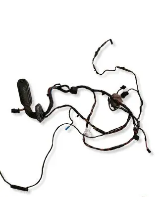 BMW X5 E70 Front door wiring loom 9242070