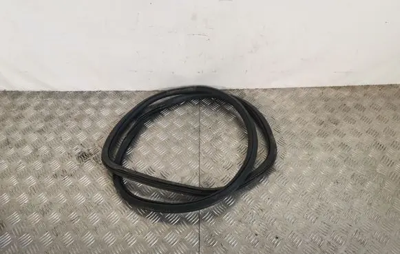 Rear door rubber seal (on body)