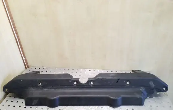 Engine bonnet/hood lock trim molding