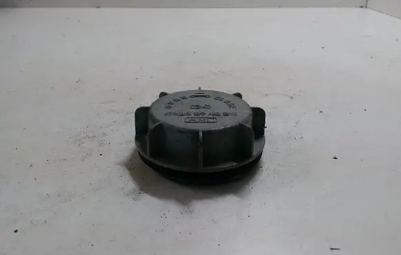 Headlight/headlamp dust cover