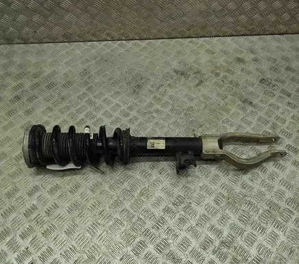 BMW iX Front shock absorber/damper 6891994