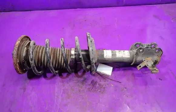 Opel Signum Front shock absorber with coil spring 