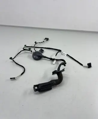 Volkswagen PASSAT B8 Rear door wiring loom 3g0971693f
