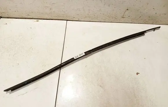 Rear door glass trim molding
