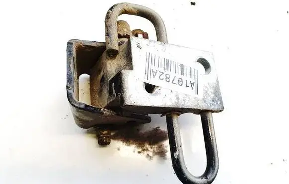 Rear door lower hinge