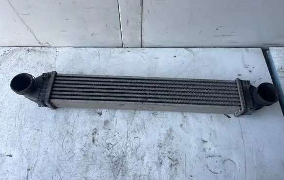 Mercedes-Benz B W245 Intercooler radiator A1695000000 G0976003