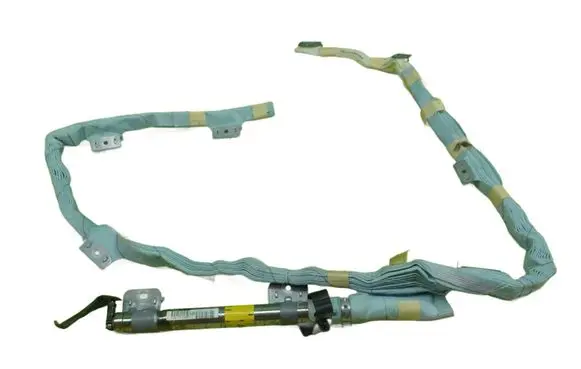 Toyota Prius (XW20) Roof airbag 301974608Q42