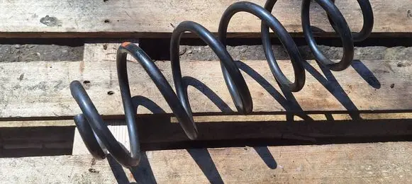 Rear coil spring