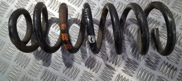 Peugeot 406 Rear coil spring
