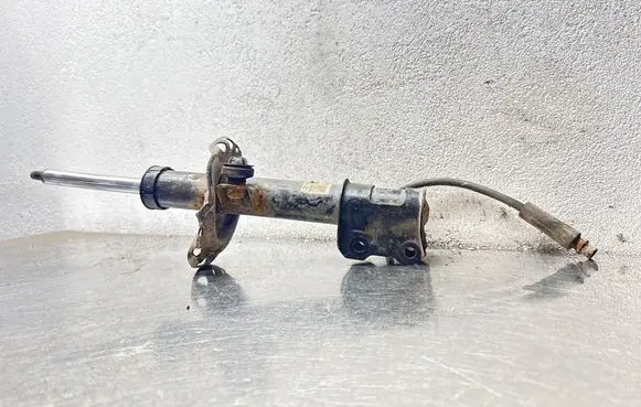 Opel Zafira B Front shock absorber/damper 22214599 36813515 24640