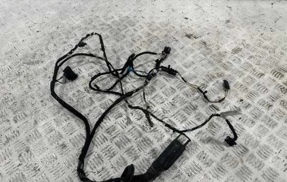 BMW 3 F30 F35 F31 Front door wiring loom 19344411