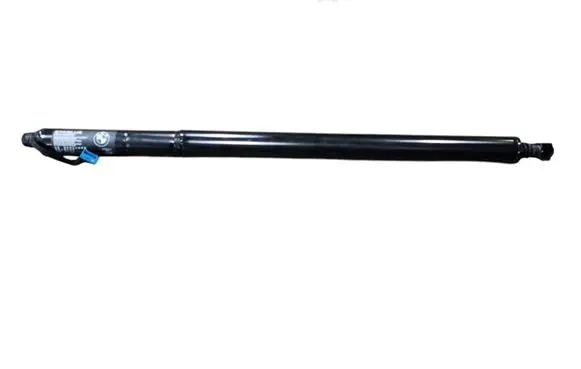 Tailgate/trunk strut/damper