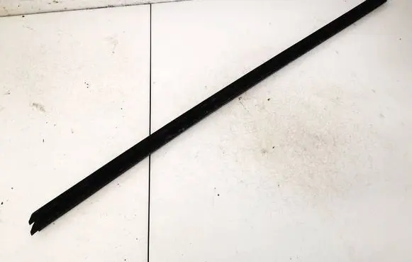 Land Rover Discovery Sport Front door glass trim molding 