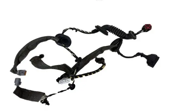 Rear door wiring loom